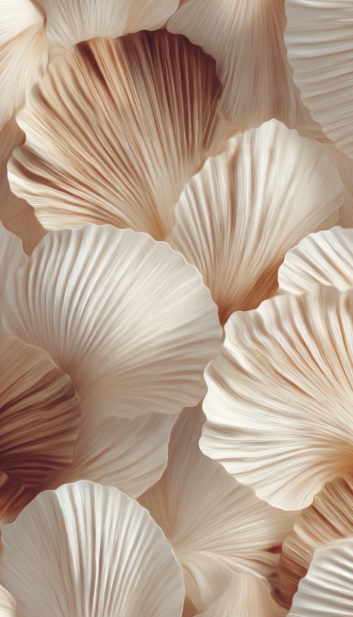 Exclusive Pricing -Yara - Image 12