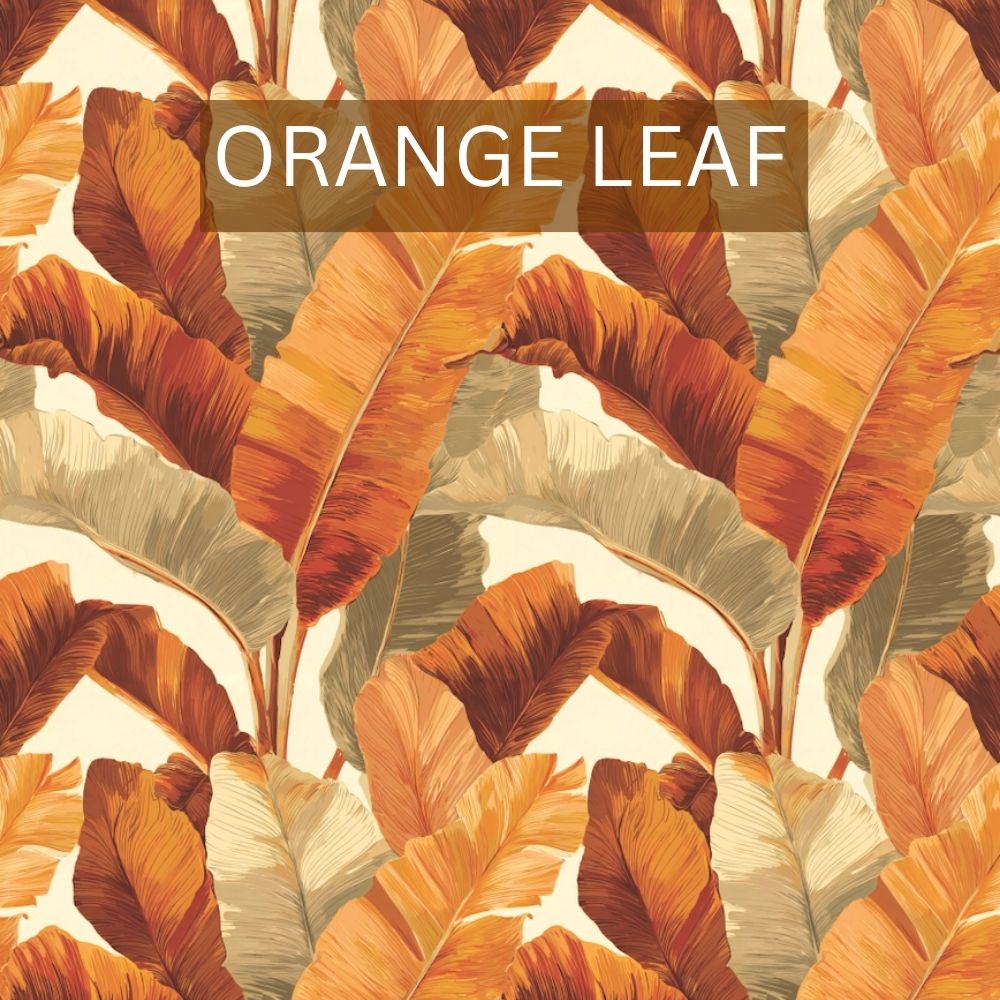 Carina Cover Up - Image 5